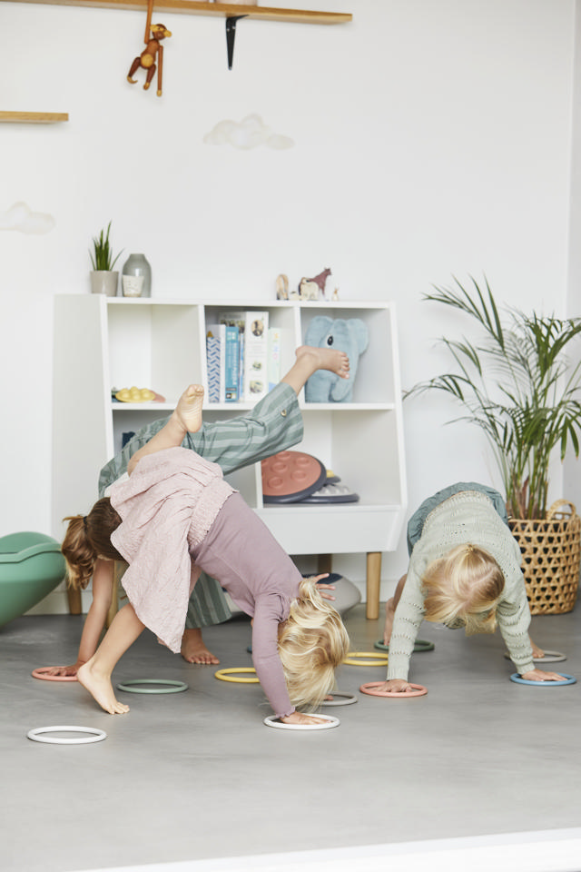 Activity Rings Nordic