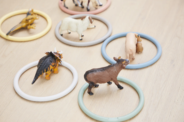 Activity Rings Nordic